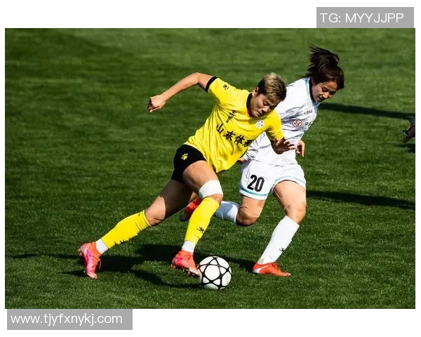 全国锦标赛特别报道：成都足球队的奋斗与荣耀之路探秘