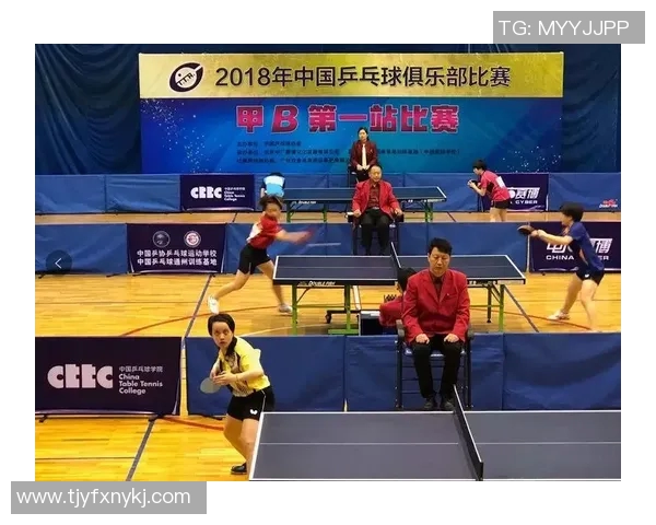 南京与深圳羽毛球队对决赛后分析比赛节奏与战术策略的深度探讨