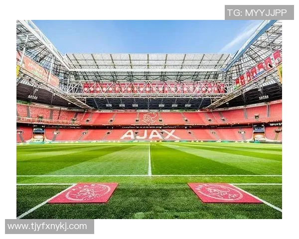 南京足球队的控制策略解析与未来发展展望