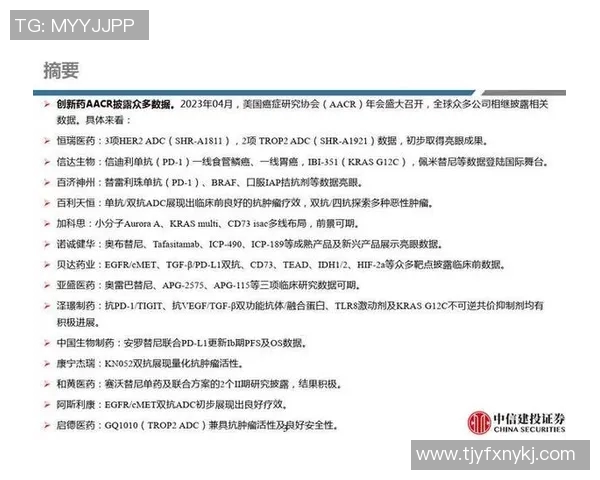 南京羽毛球队战略转型解析与打法创新探讨