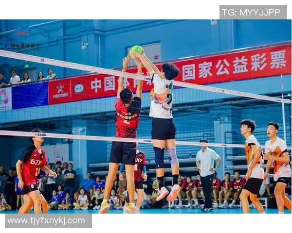 广州排球队在世界杯中的灵活性表现引发热议与期待