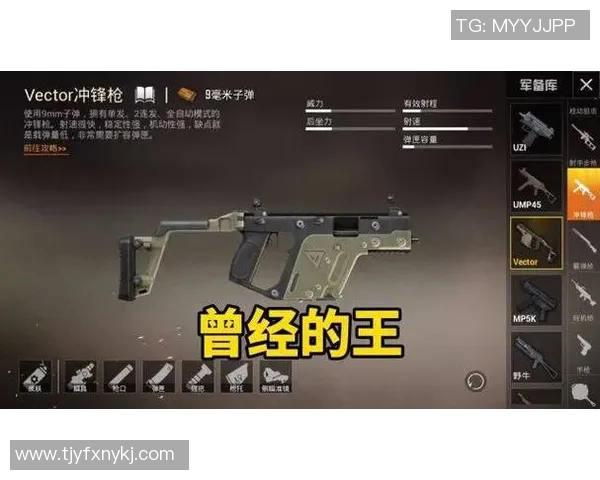 和平精英心理素质排行榜揭晓WE战队荣登第七名引发热议 和平精英心理素质排行榜揭晓WE战队荣登第七名引发热议