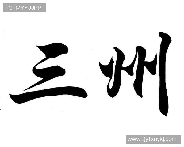 张秀英专访揭秘网球成功背后的心路历程与训练秘诀