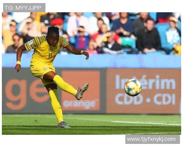 南非女足与埃及女足激战正酣比分悬念引人关注