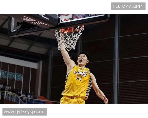 胡金秋在CBA赛场的崛起之路与未来发展潜力的深度分析