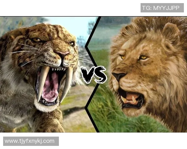 阿特拉斯与美洲狮的精彩对决结果揭晓，谁将胜出成焦点