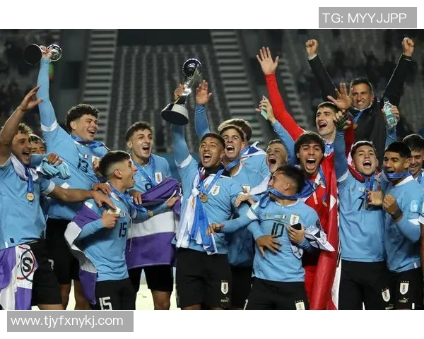 法国与乌拉圭比赛前瞻分析及胜负预测详解