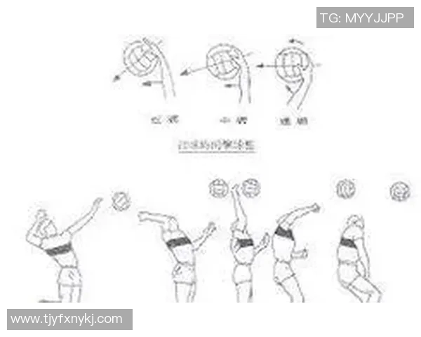 成都排球队的阵地战策略与技术解析深度剖析排球运动的魅力与挑战MBA