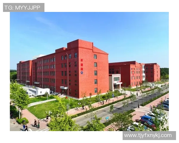 杭州乒乓球队进攻革新之路探秘：技术创新与战术变革的深度分析MBA