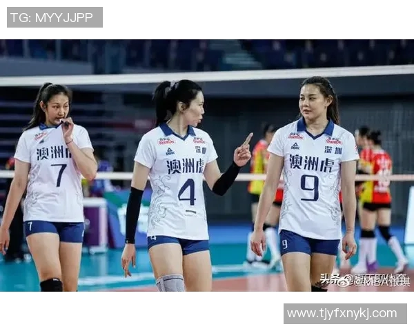 广州排球队灵活性分析与发展潜力探讨MBA