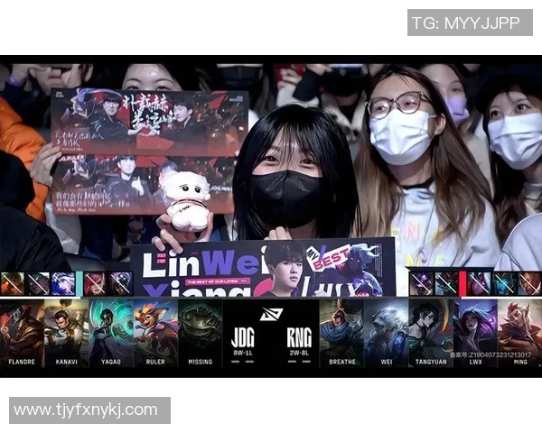 赛后复盘：深入分析JDG与RNG对决中的战术与技术细节