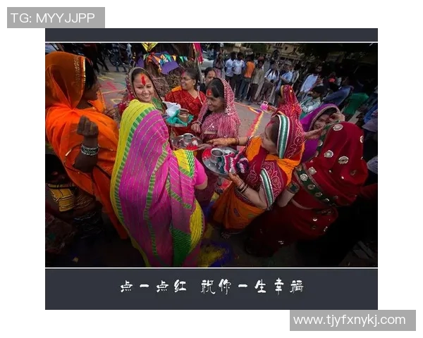 印度与马来西亚的较量：文化碰撞与经济合作的双重视角