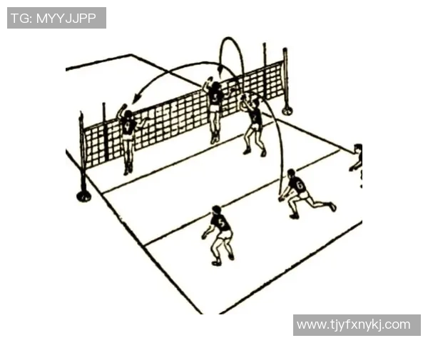 排球新手必看：全面提升技巧与战术的入门指南