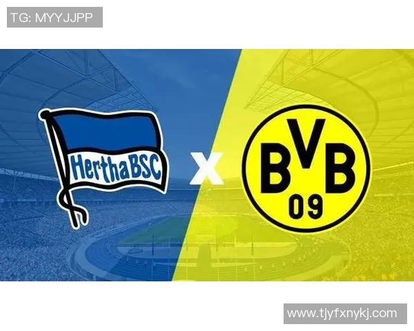 柏林郝塔对阵多特蒙德的精彩对决回顾与赛季分析 柏林郝塔对阵多特蒙德的精彩对决回顾与赛季分析