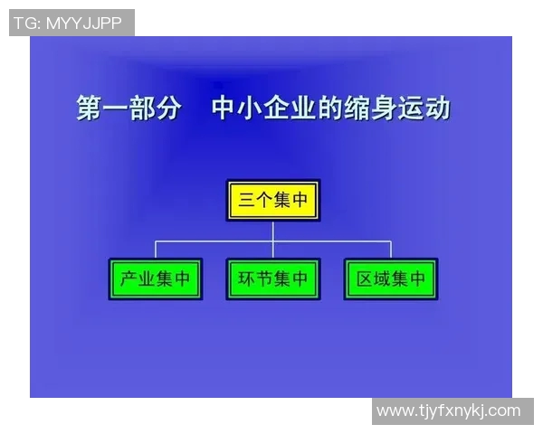 杭州街舞队状态全景解析与对比分析探讨MBA