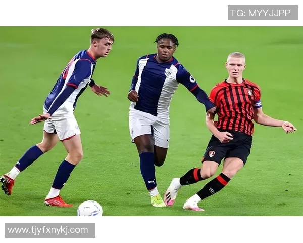 西布罗姆对阵莱切城足彩分析及投注建议全面解读