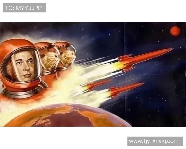 霍伊伦的传奇人生与科技创新之路探索