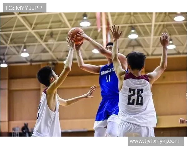 对话杨敏：回顾篮球生涯中的挑战与成长之路