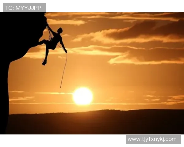 WE战队转型之路：成功与挑战并存的深度解析