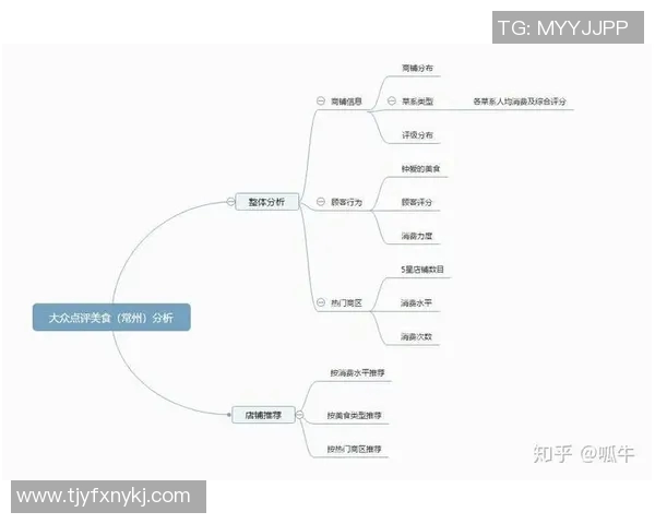 深圳排球队在世界杯预选赛中的团队协作表现分析与点评